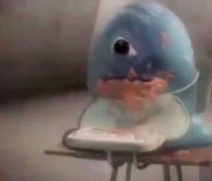 mfw when
